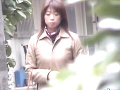 Sweet dreamy Japanese girl is having sharking affair with some lusty lad