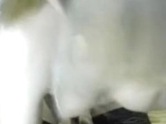 Amazing Homemade video with Stockings, Webcam scenes