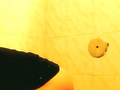 Amateur flashed bushy pussy while pissing on toilet