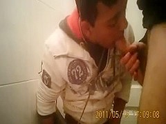 Gay oral quickie in the restroom